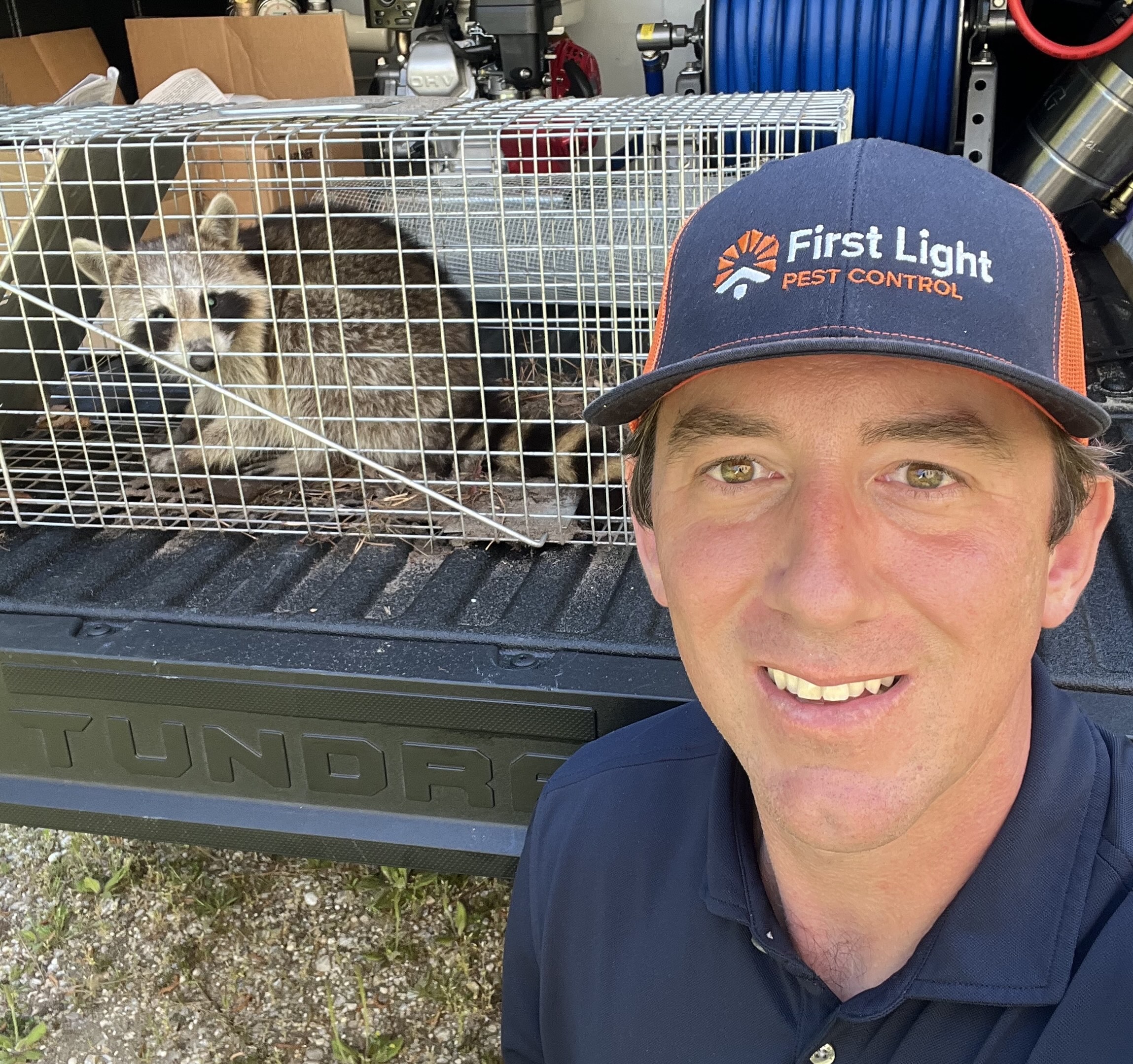 Removal of raccoon using a trap and pest technician