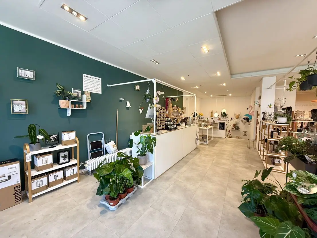 Laden-, Verkaufs- und Lagerfläche in Fußgängerzone von Kassel zu vermieten