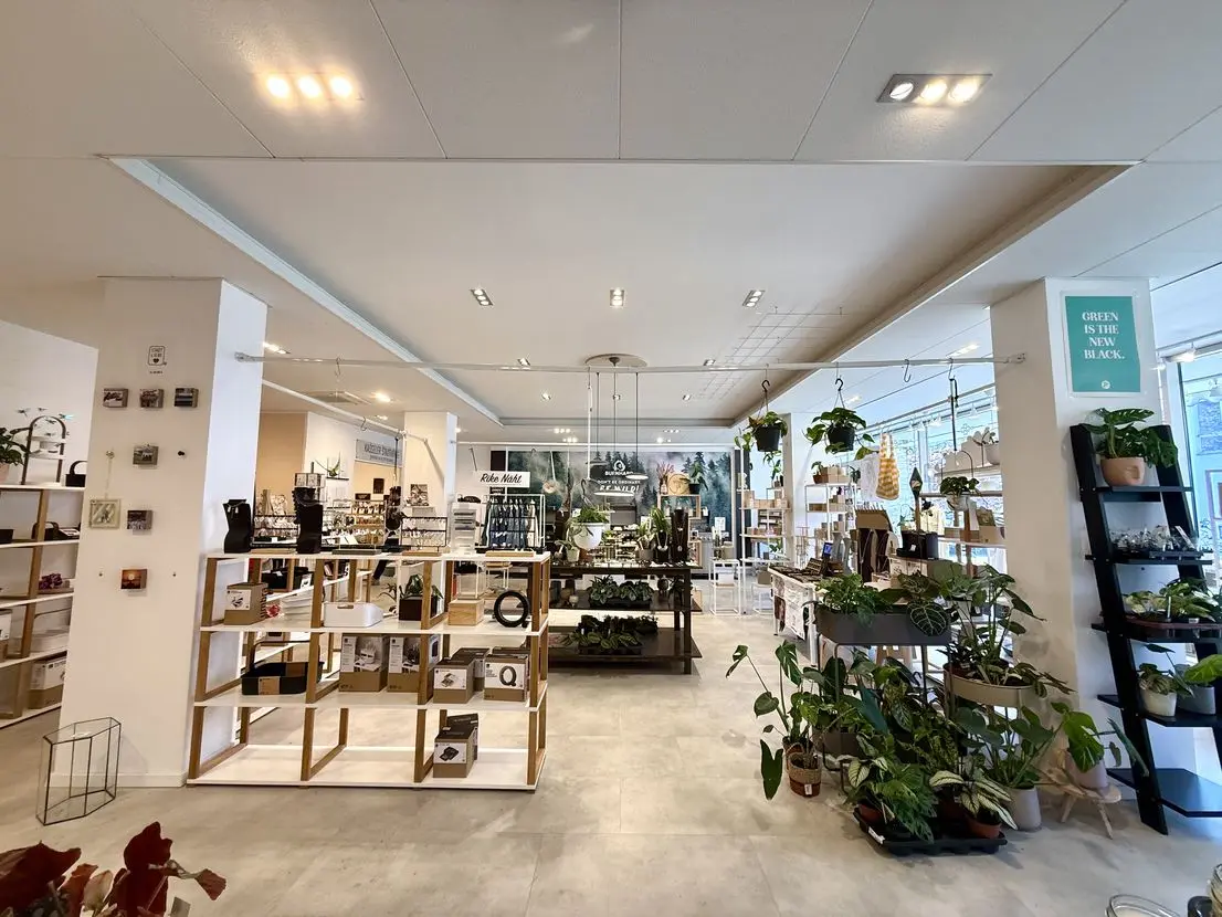 Laden-, Verkaufs- und Lagerfläche in Fußgängerzone von Kassel zu vermieten