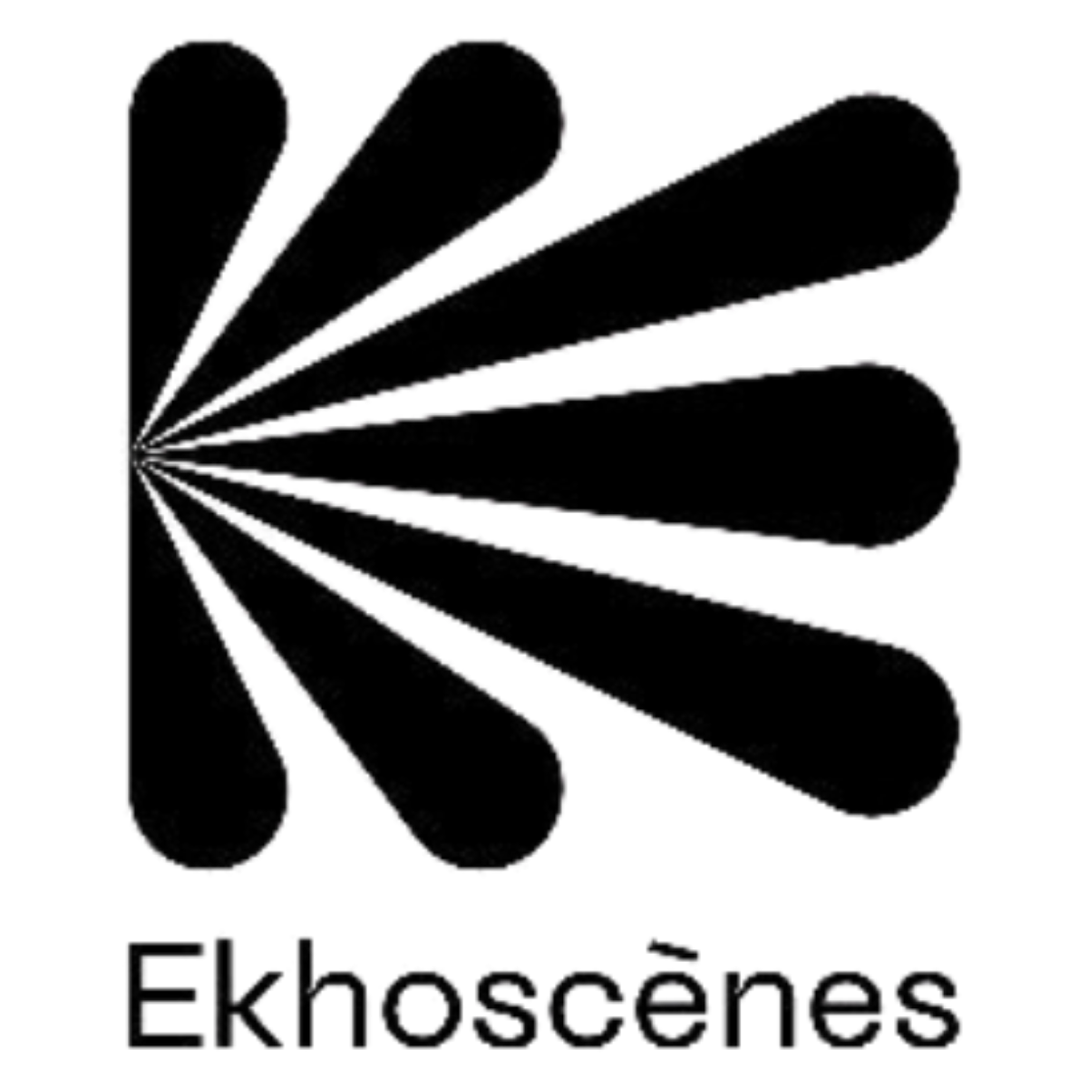Logo de Finnish Kinoscope avec des formes allongées en éventail partant du coin supérieur gauche.