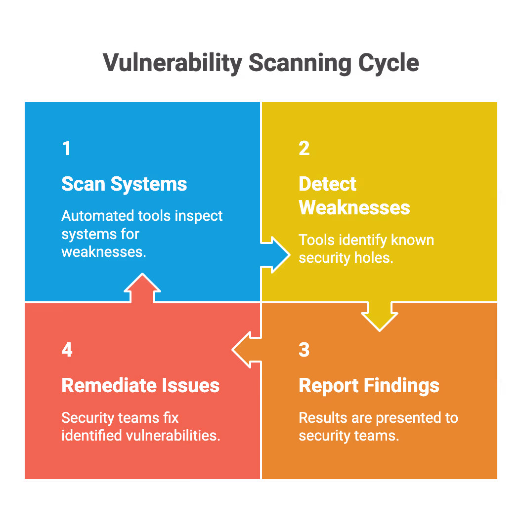 Vulnerability Scanning Cycle