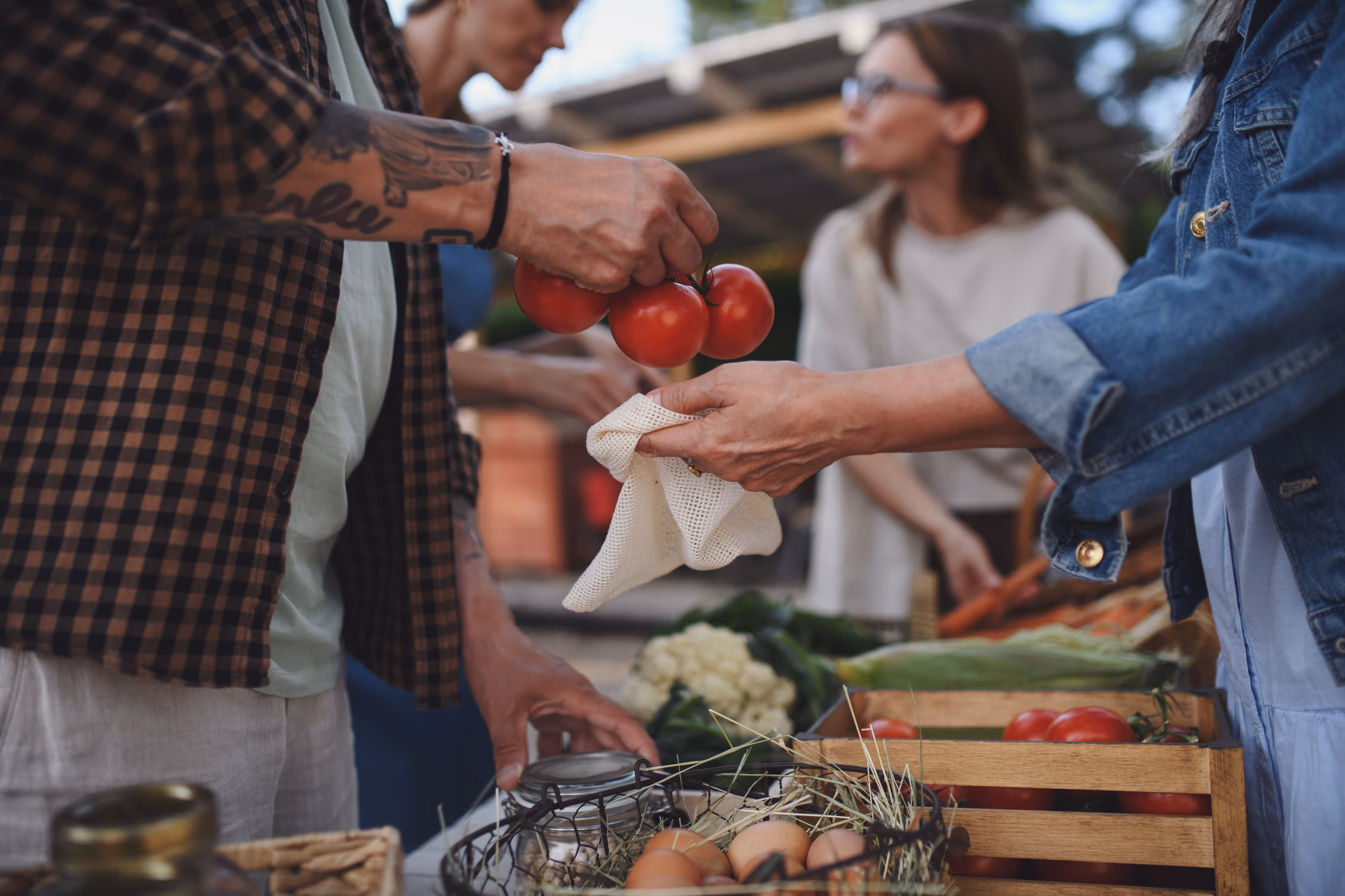 Man putting tomatoes in a bag farmers market stock image