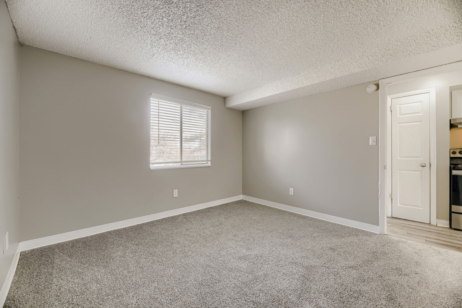 Empty room with entrances to closet and hallway