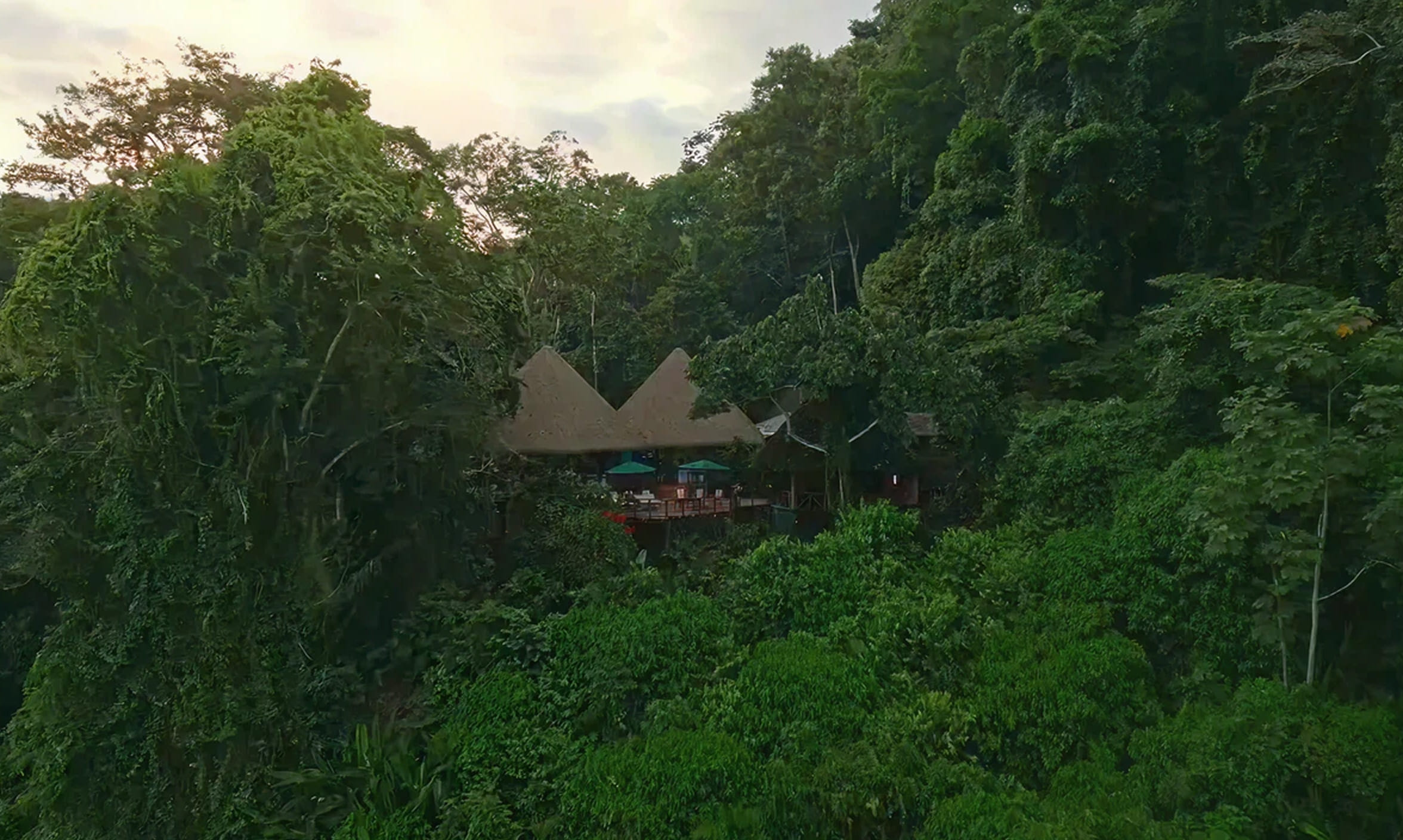 Thatched-roof huts with a wooden deck and turquoise umbrellas nestled in dense lush green forest.
