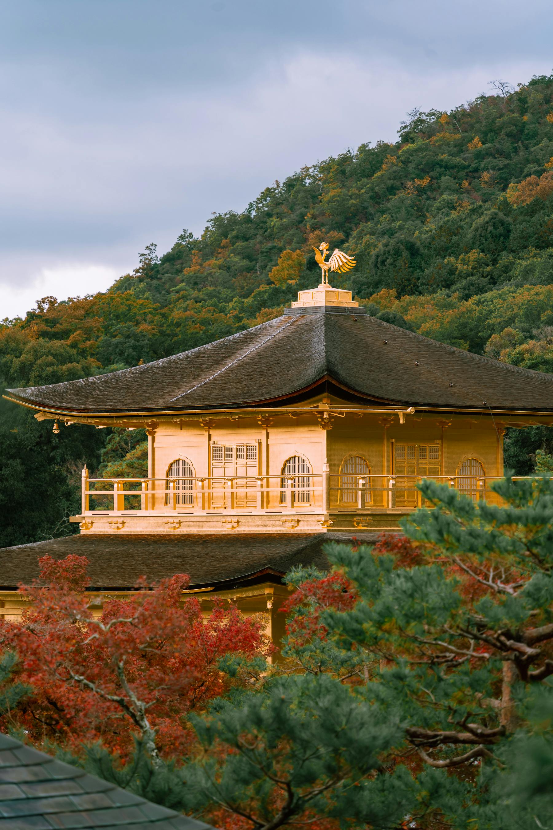 [background image] image of an open field