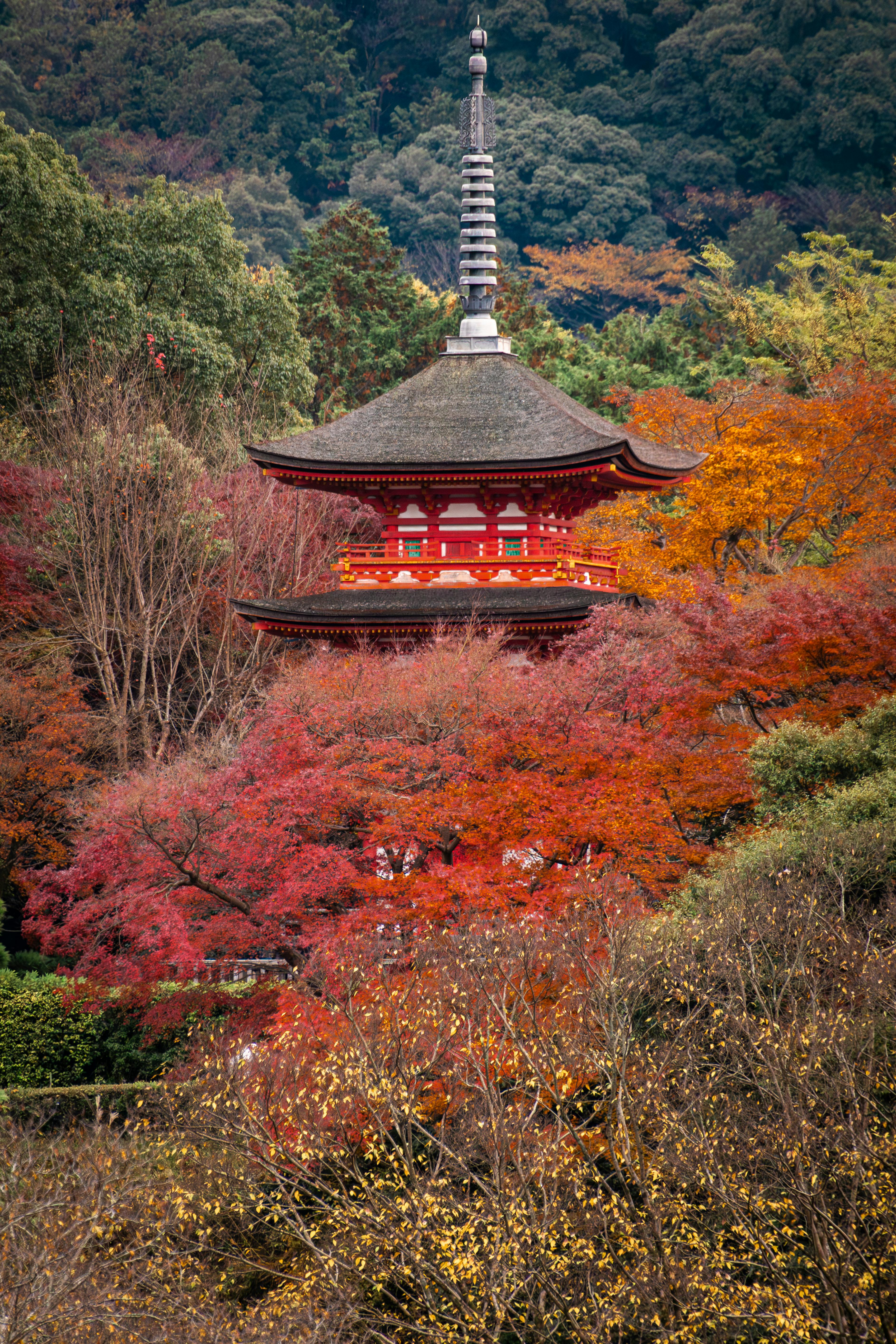[background image] image of serene landscape with river