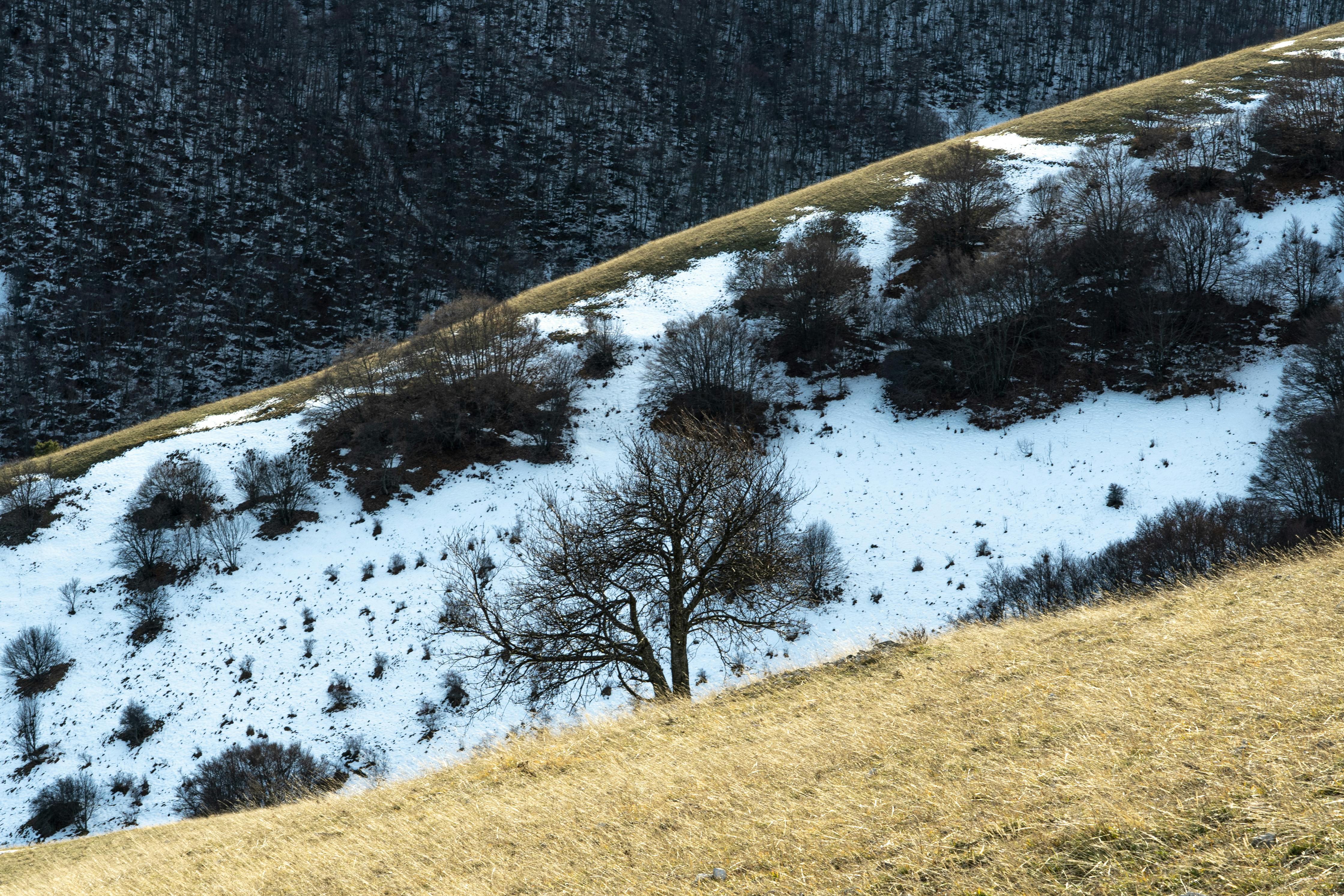 [background image] image of serene landscape with river