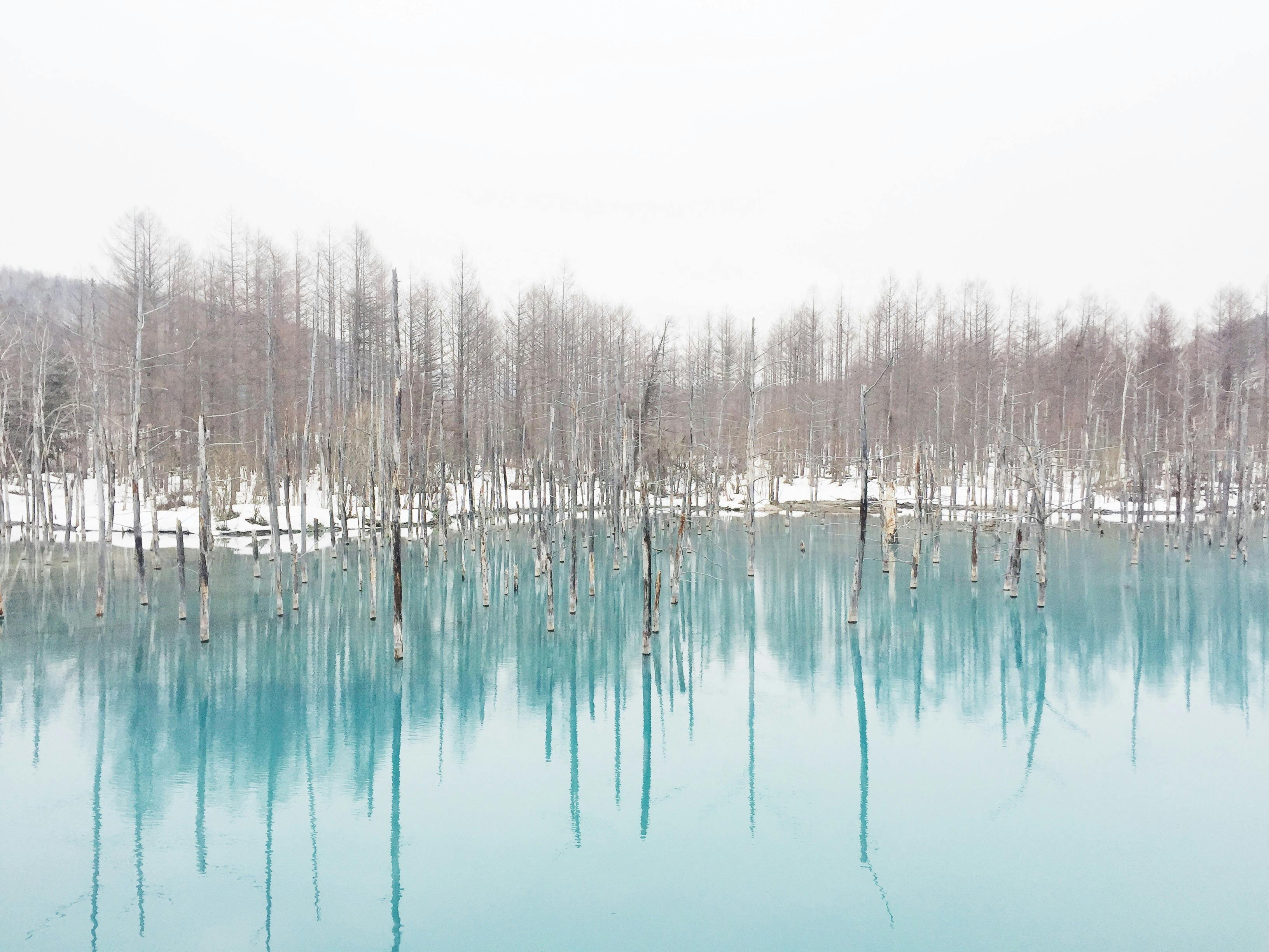 [background image] image of an open field