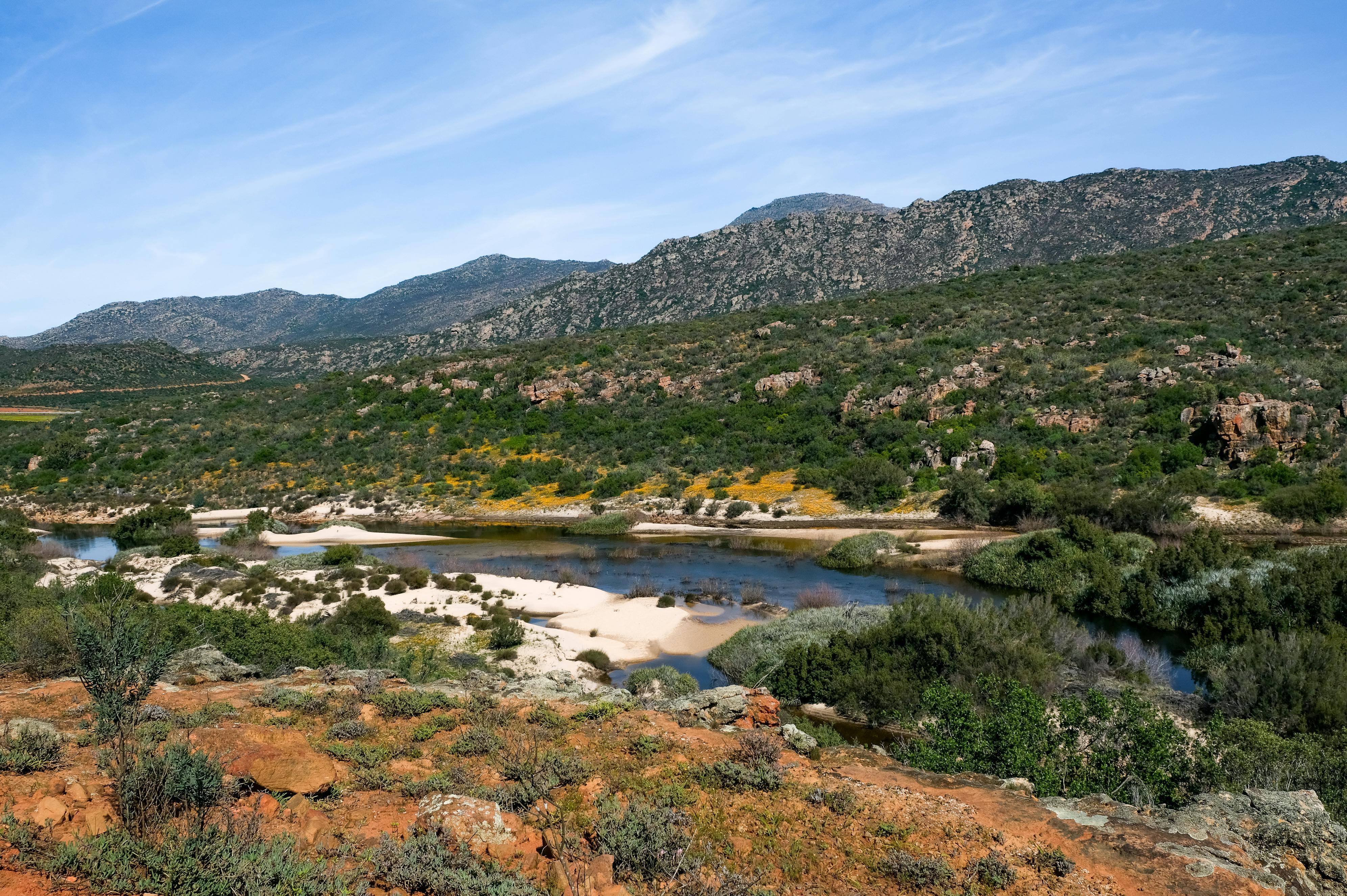 [background image] image of an open field