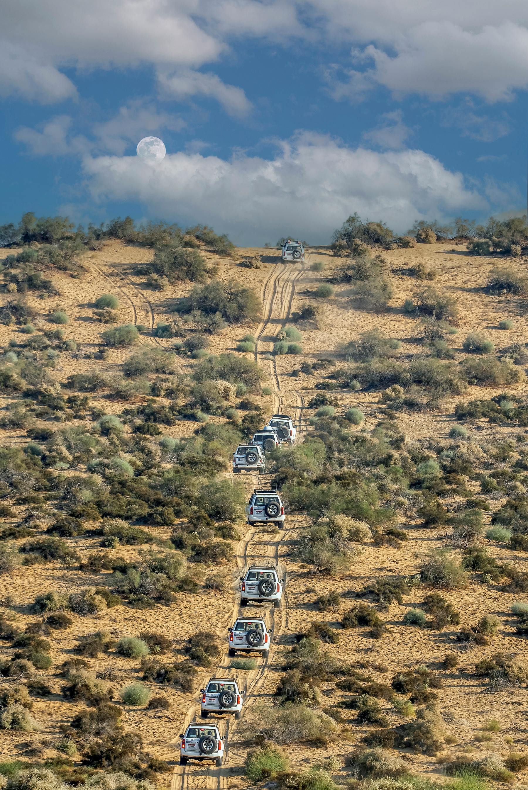 [background image] image of an open field