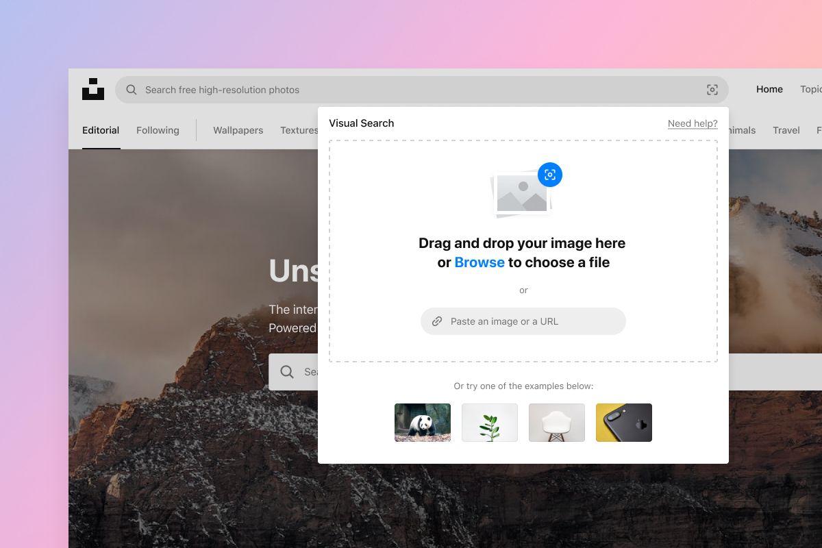 Screenshot of an image search webpage with a pop-up window titled Visual Search prompting the user to drag and drop an image, browse files, or paste an image URL for search, with example images displayed below.