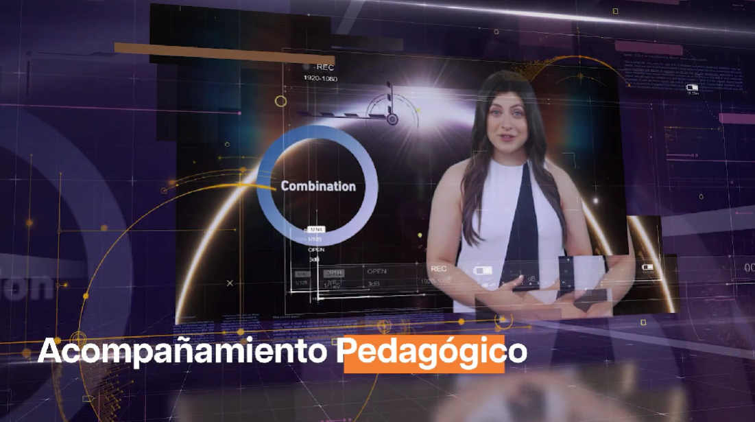 Contenido del artículo