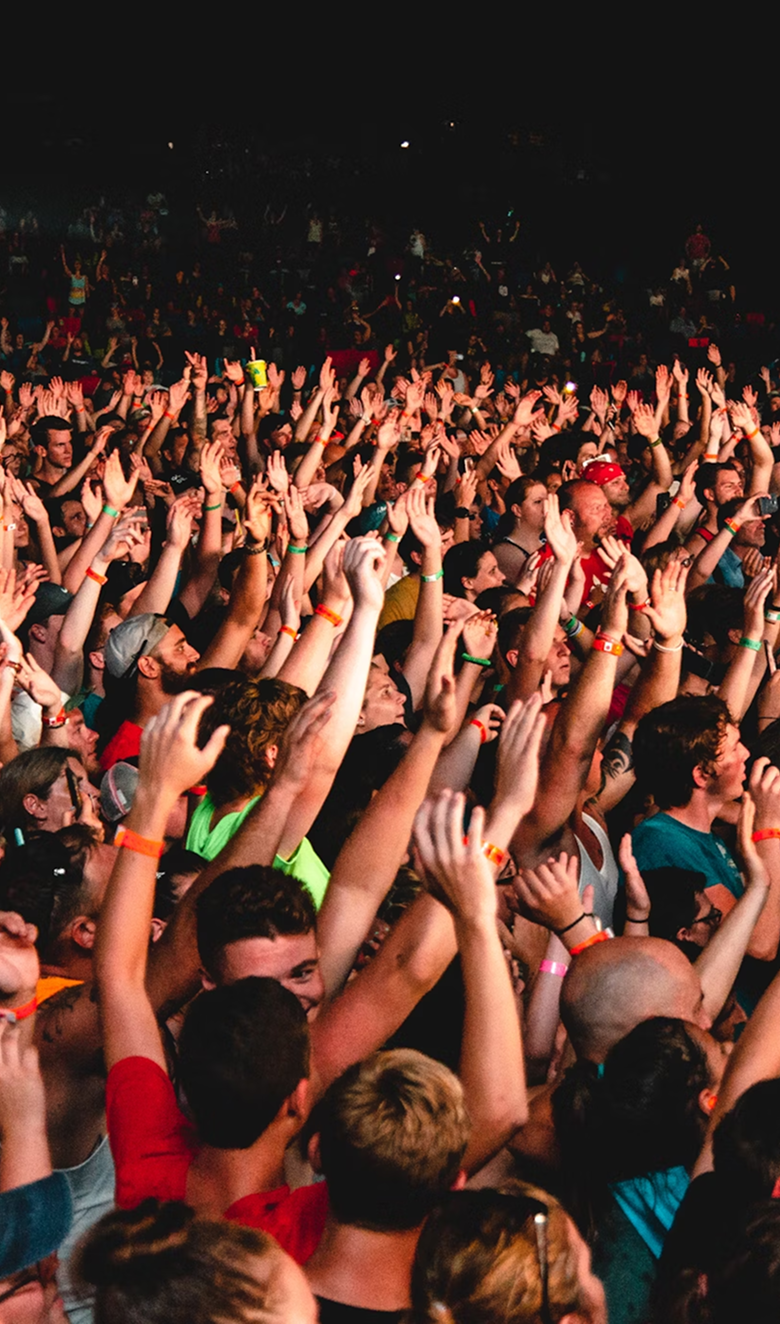 Large crowd at a concert with many people raising their hands and cheering.