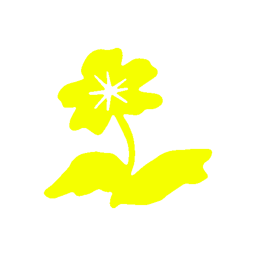 Simple yellow flower with a stem and two leaves on black background.