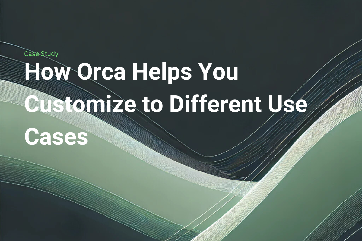 How Orca Helps You Customize to Different Use Cases