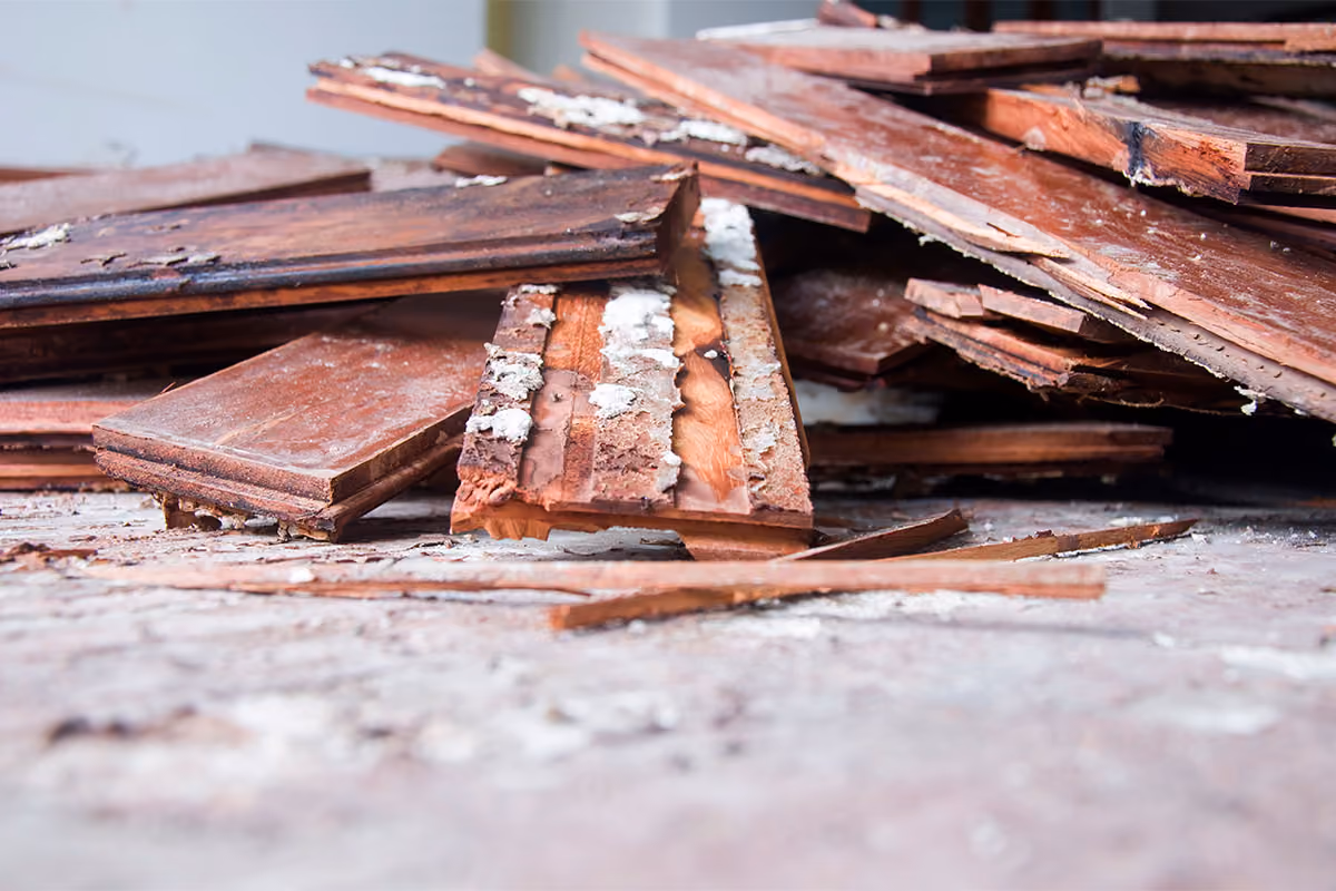 Wood from small demolition project.