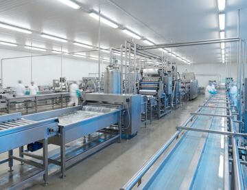 Clean food processing facility with stainless steel conveyors and sanitation systems in operation