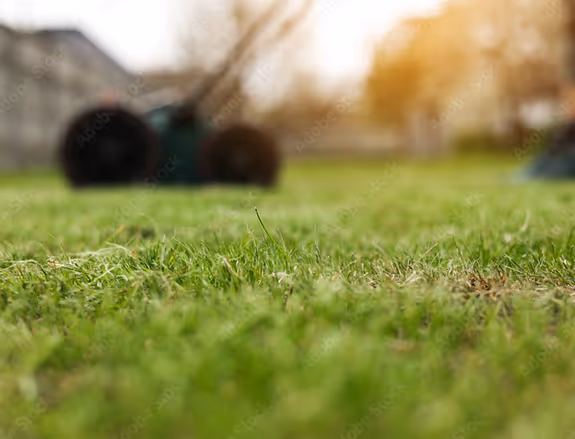 Close-up view of green grass with a blurred aerator machine in the background under soft sunlight.