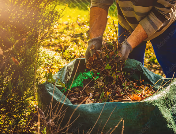 Person wearing gloves gathering dry leaves and yard debris into a green garden waste bag in a sunlit yard.