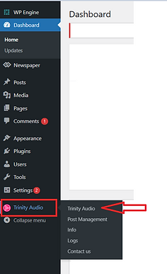 A screenshot of the WordPress admin sidebar. A red box highlights "Trinity Audio," and a red arrow points to the "Trinity Audio" submenu item.