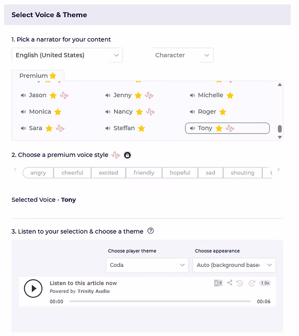 select voice & theme
