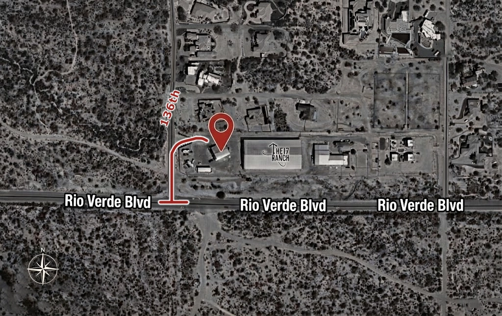 image of animal training session