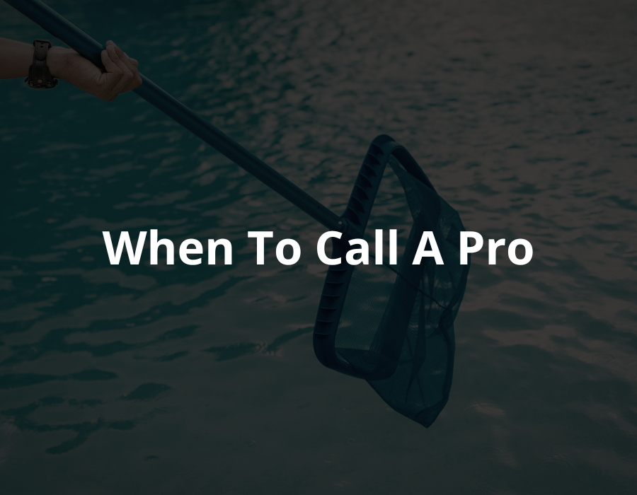 professional pool cleaner