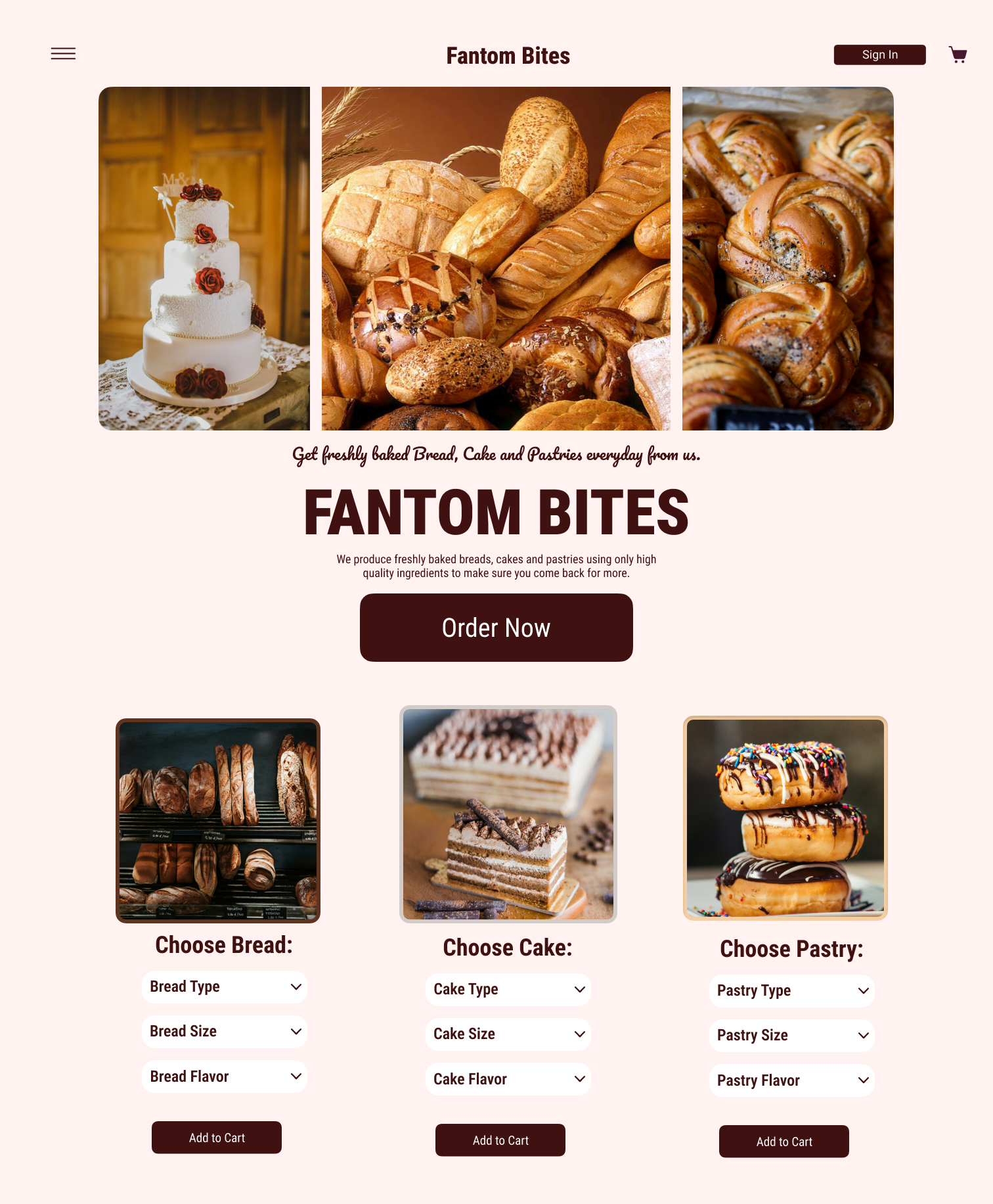 [digital project] image of a past client project (for a consulting firm)