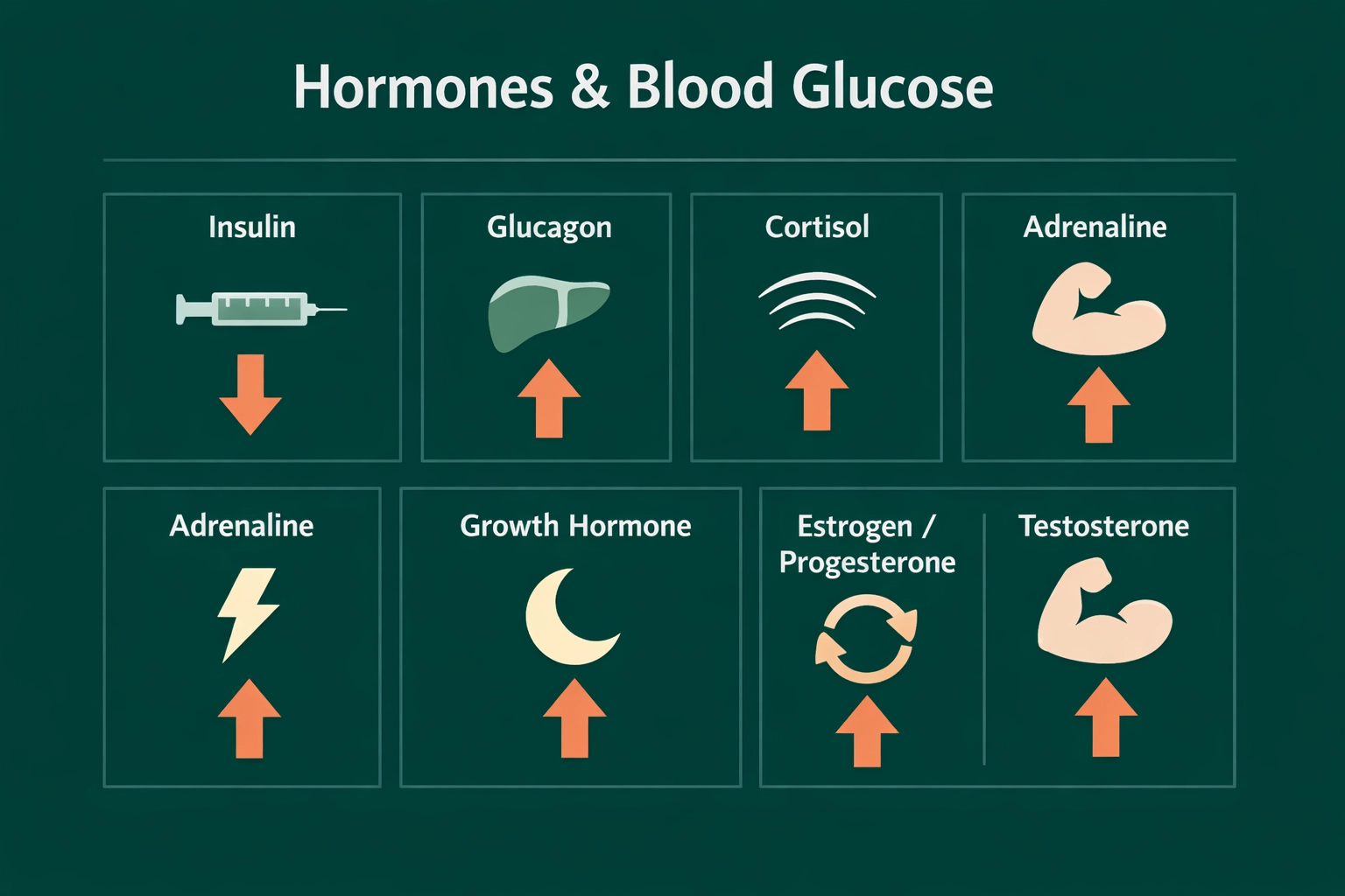 Chart showing seven hormones affecting blood glucose with arrows indicating directional impact