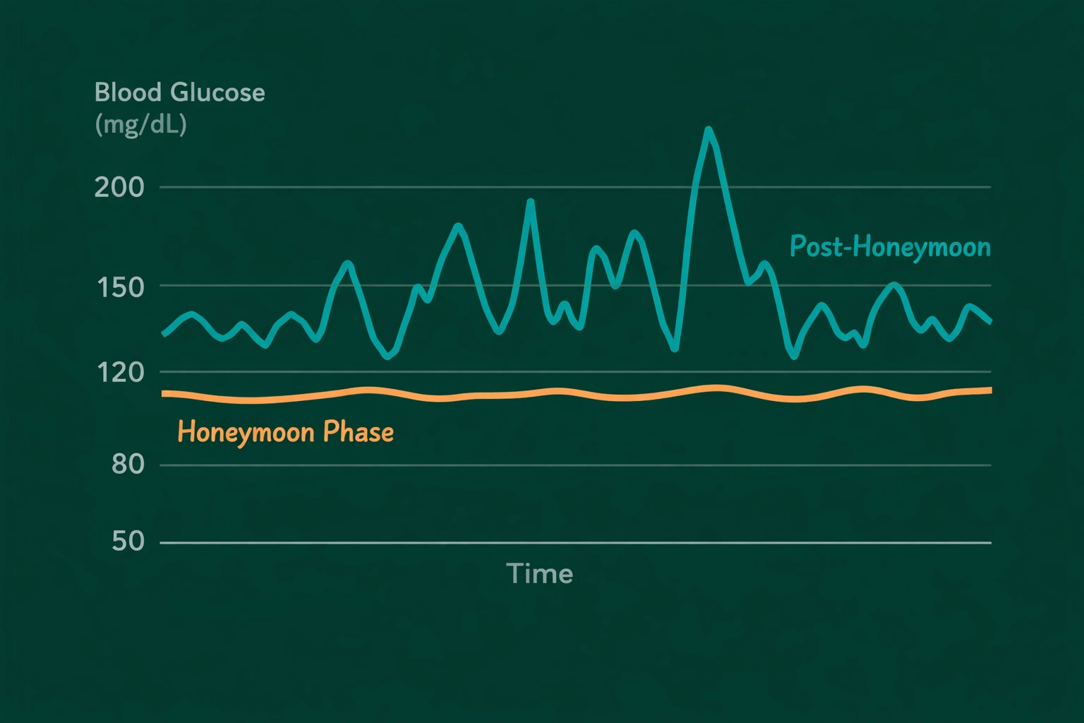 Blood glucose graph comparing stable honeymoon phase readings versus erratic post-honeymoon diabetes management