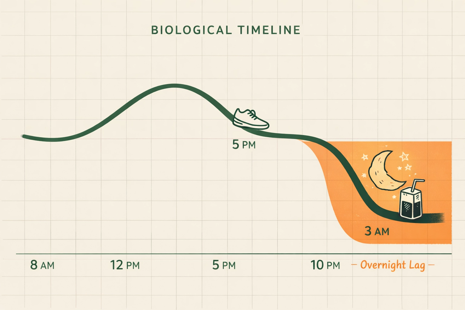 T1D blood sugar timeline showing a 3 AM delayed low after a 5 PM workout, illustrating the exercise lag effect.