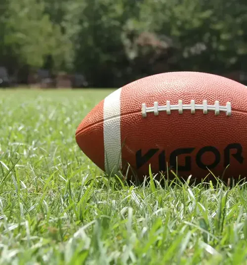 Close-up of a football lying on green grass with trees blurred in the background.