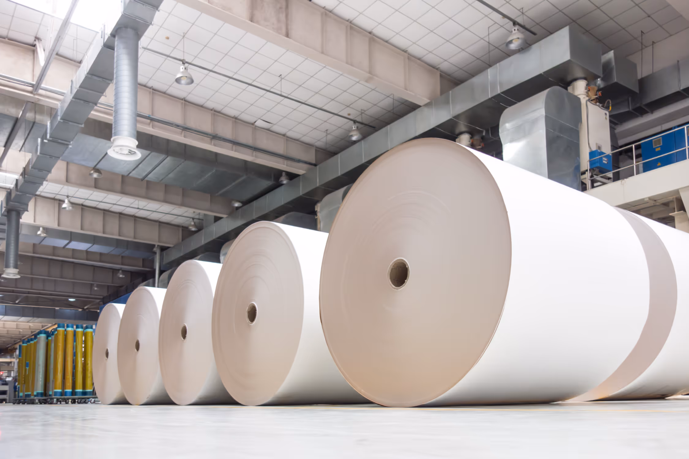 Large rolls of white paper lined up inside a modern industrial paper mill facility.