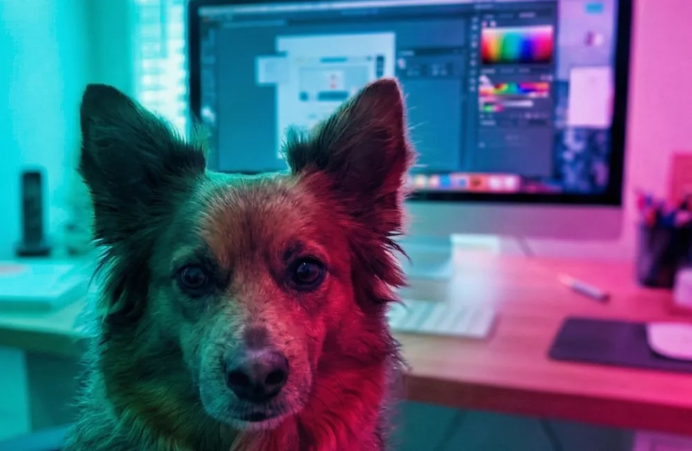 [background image] image of art supplies on a desk (for a graphic design studio)