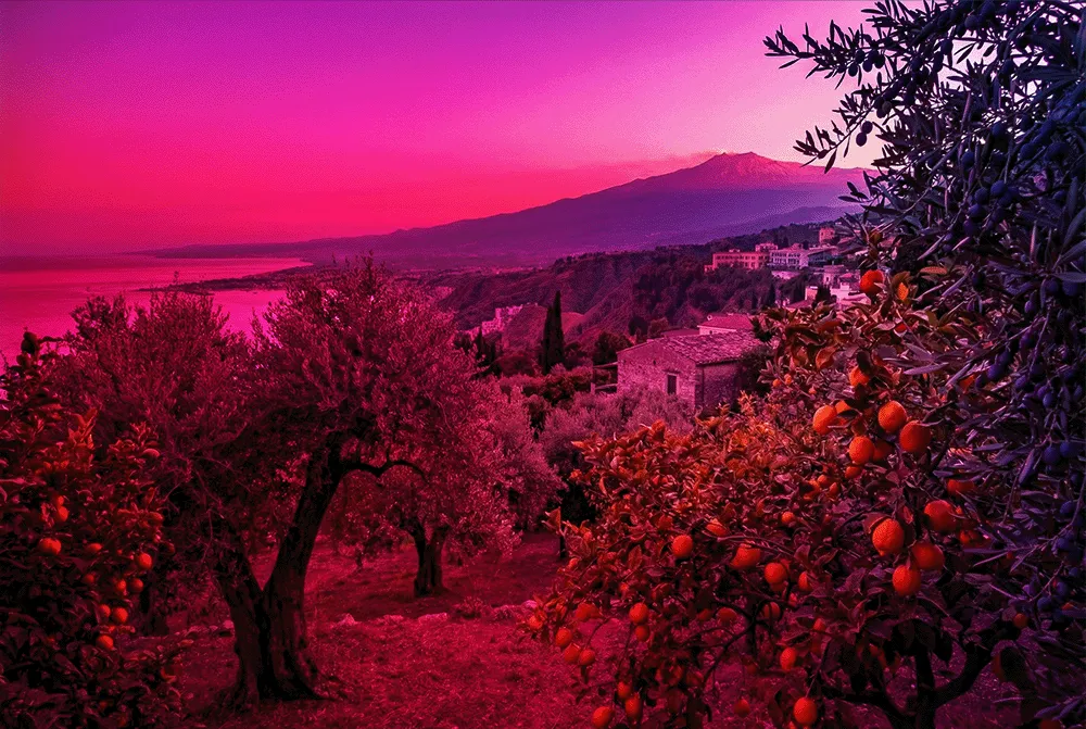 image of content management strategy session