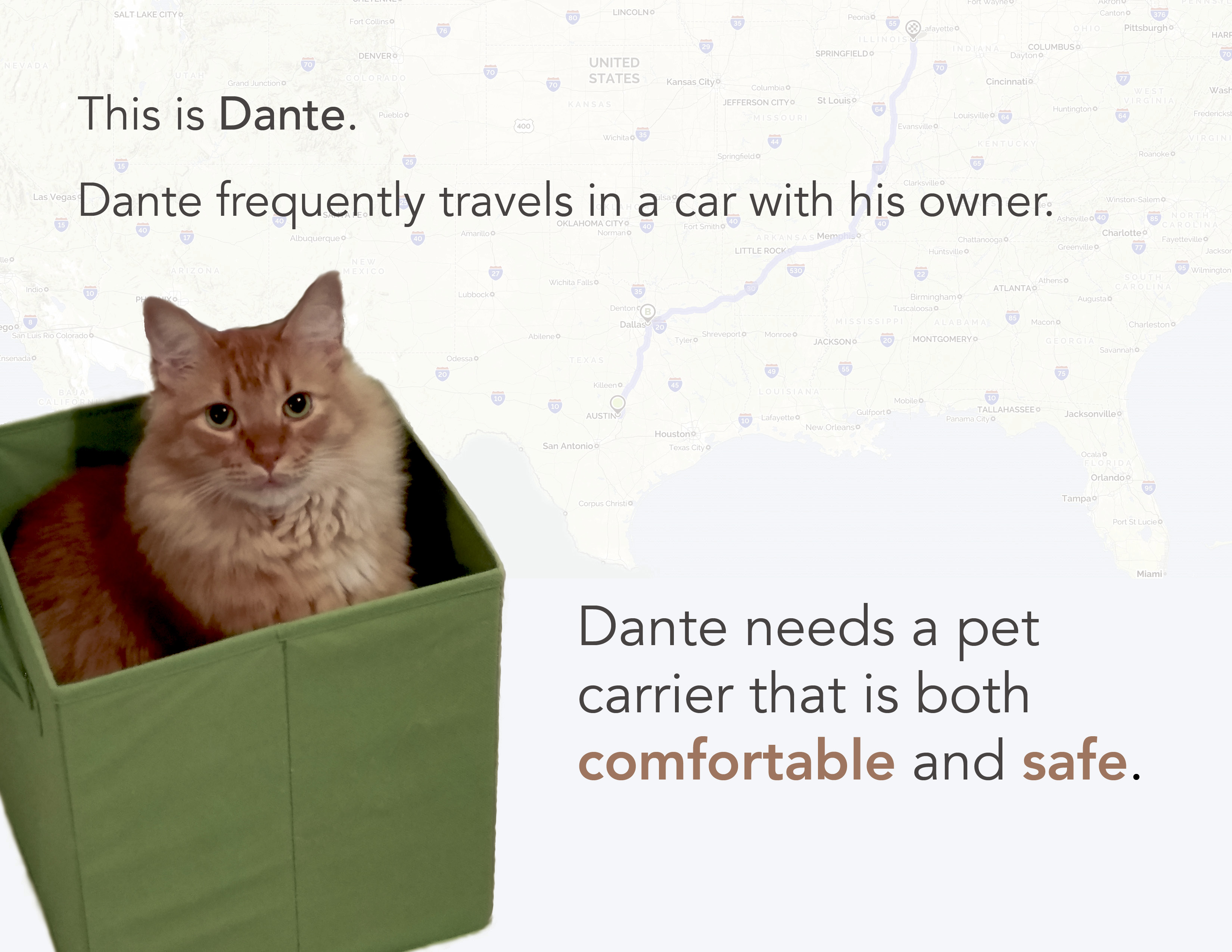 Orange cat named Dante sitting inside a green fabric box with text about needing a comfortable and safe pet carrier for traveling in a car.