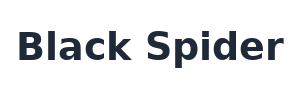 Black Spider logo