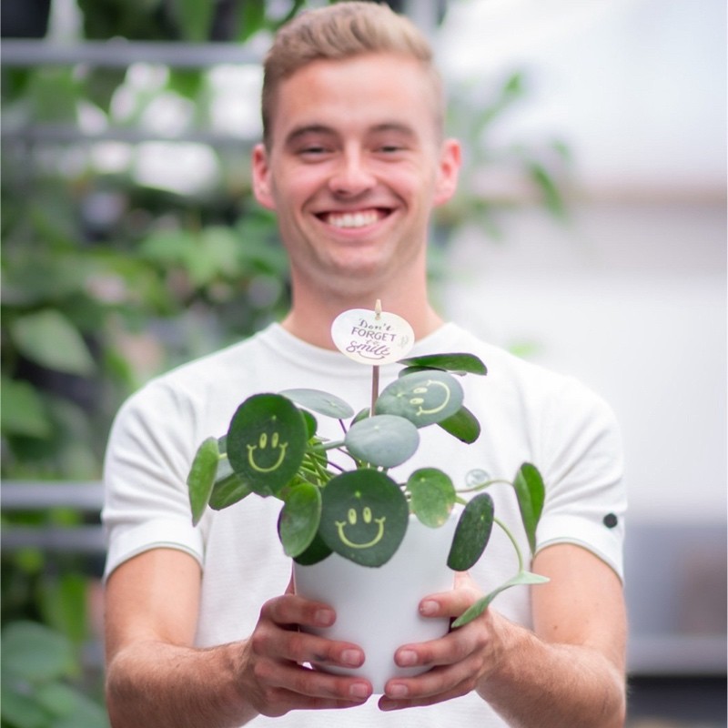 Perry Grootscholten, Co-Founder, Promoplants