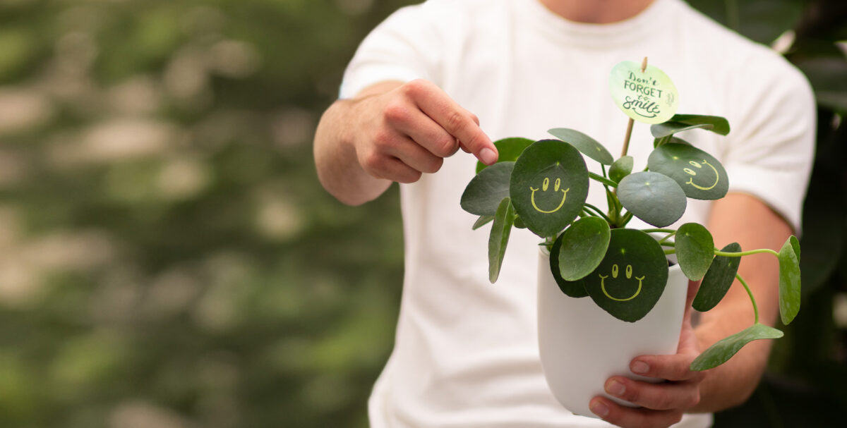 Promoplants personalized plant product preview with FastEditor