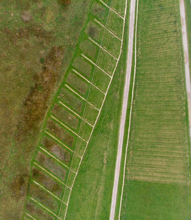 Vue aérienne de parcelles agricoles et de prairies traversées par un chemin de terre rectiligne