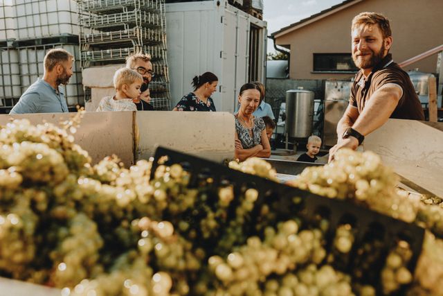 Famille et vigneron autour d'une cuve remplie de grappes de raisin blanc lors des vendanges