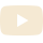YouTube Logo Button