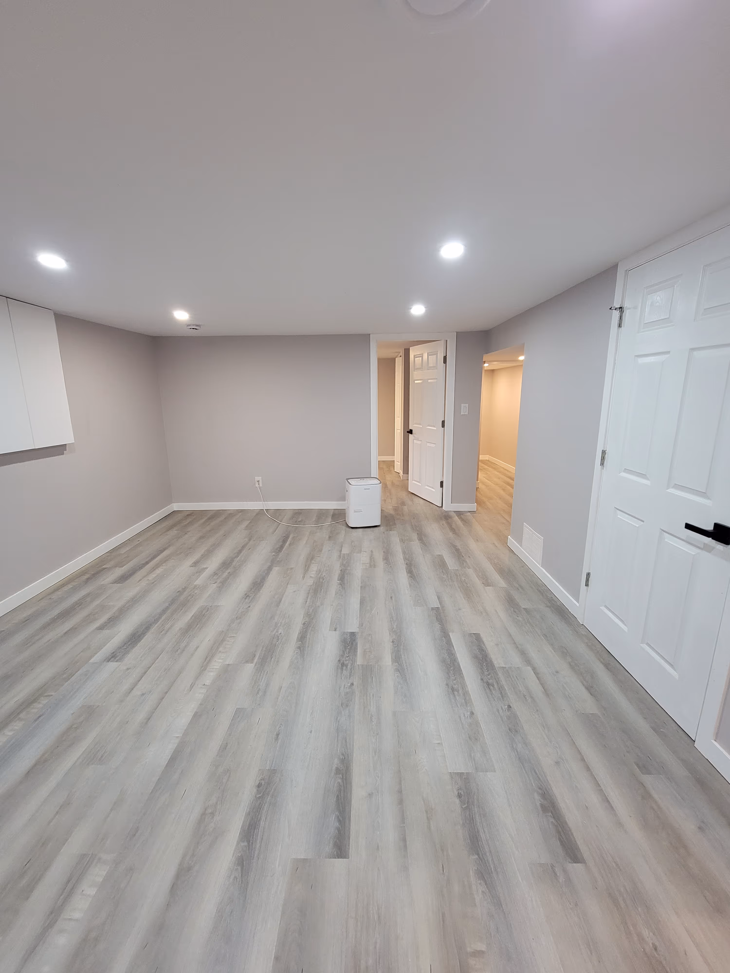 Newly finished basement