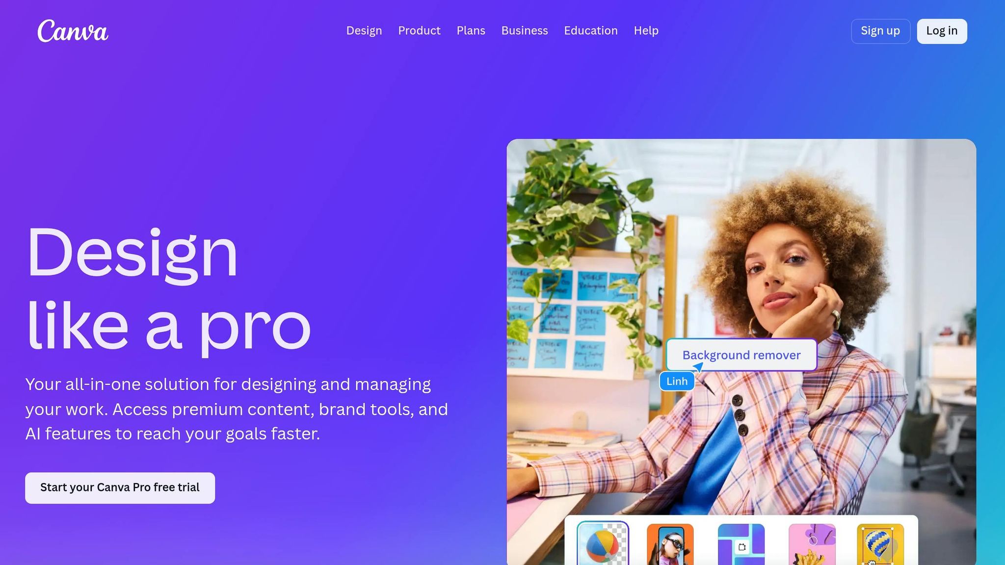 Canva Pro