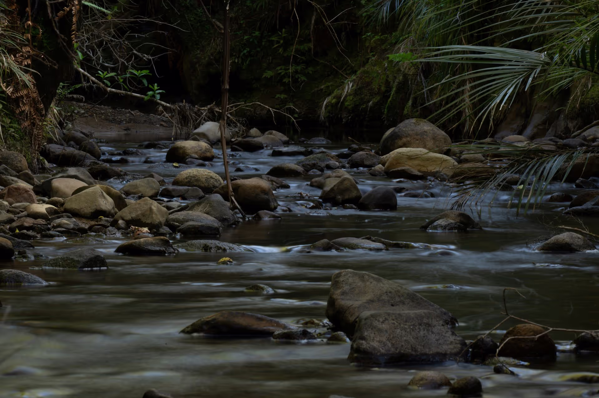 A serene stream flows through a rocky riverbed, surrounded by lush green foliage and shadows, creating a peaceful natural ambiance.