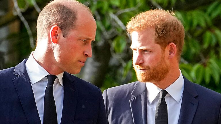 Prince William, Harry, and the Fractured Crown