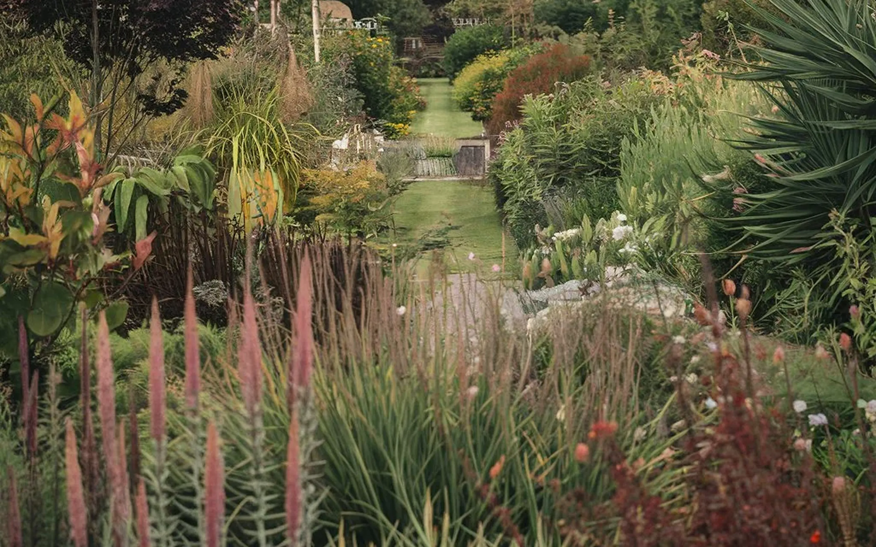 Fotografía de paisajismo