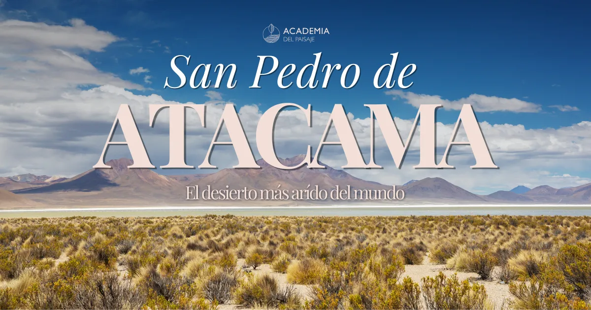 Paisaje desértico de San Pedro de Atacama con vegetación escasa, montañas al fondo y cielo azul con nubes.