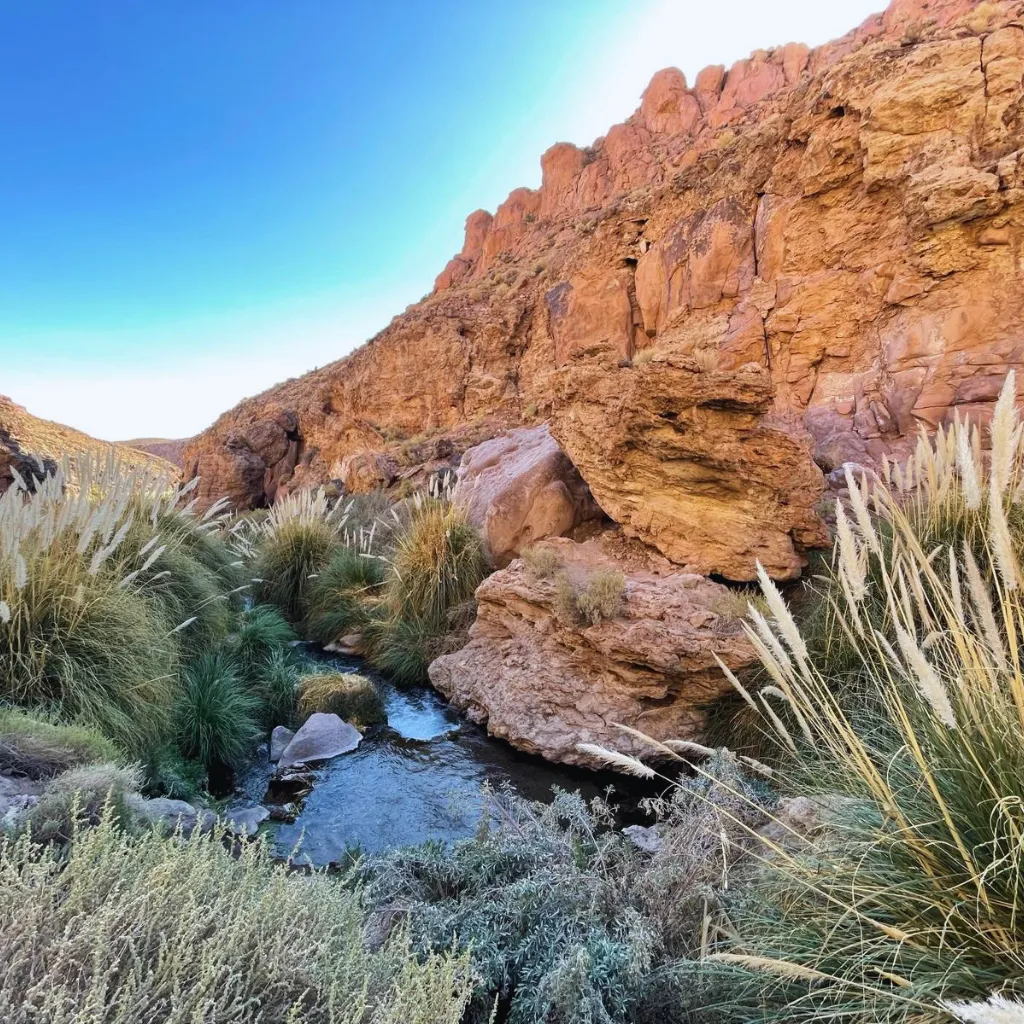 Un pequeño arroyo rodeado de vegetación y grandes rocas naranjas bajo un cielo azul claro en San Pedro de Atacama, Río Puritama