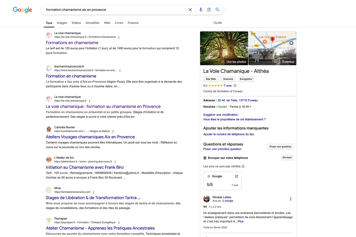 screenshot des résultats de Google qui place la voie chamanique en première position